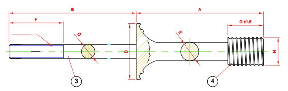 Picture 5.jpg